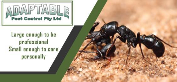 Adaptable pest control service Toongabbie